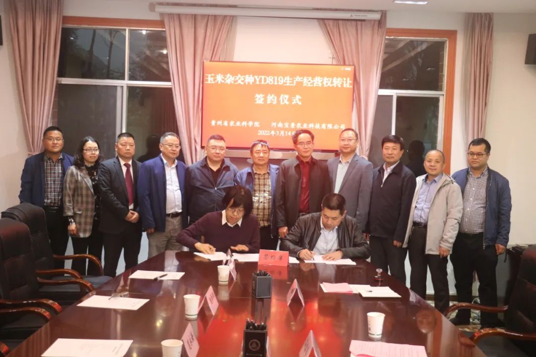 1647589793750249.jpg 7.jpg