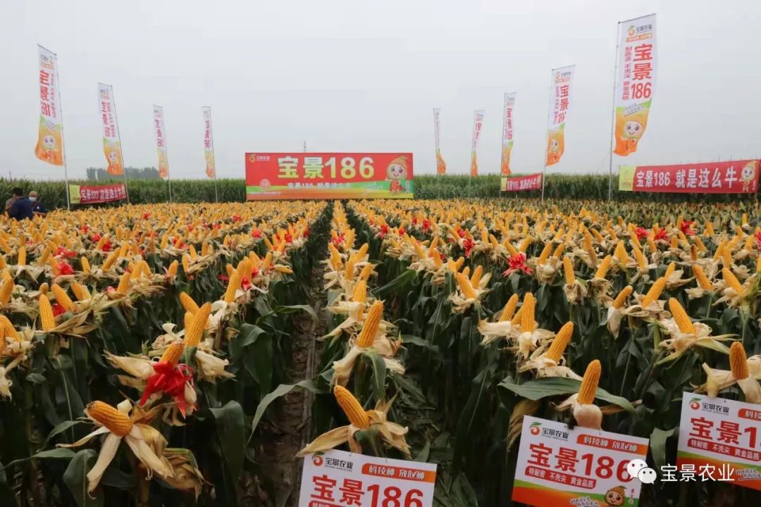 1648797344905214.jpg 13.jpg