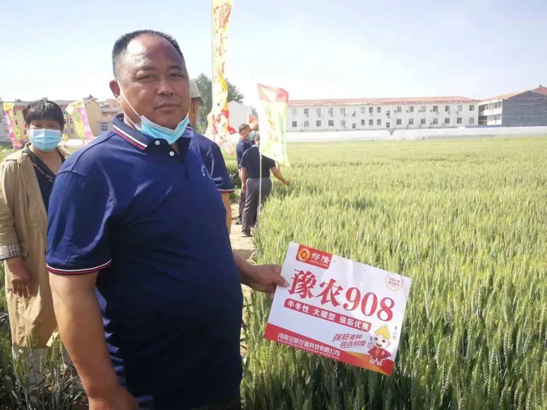 1652670915617026.jpg 01.jpg