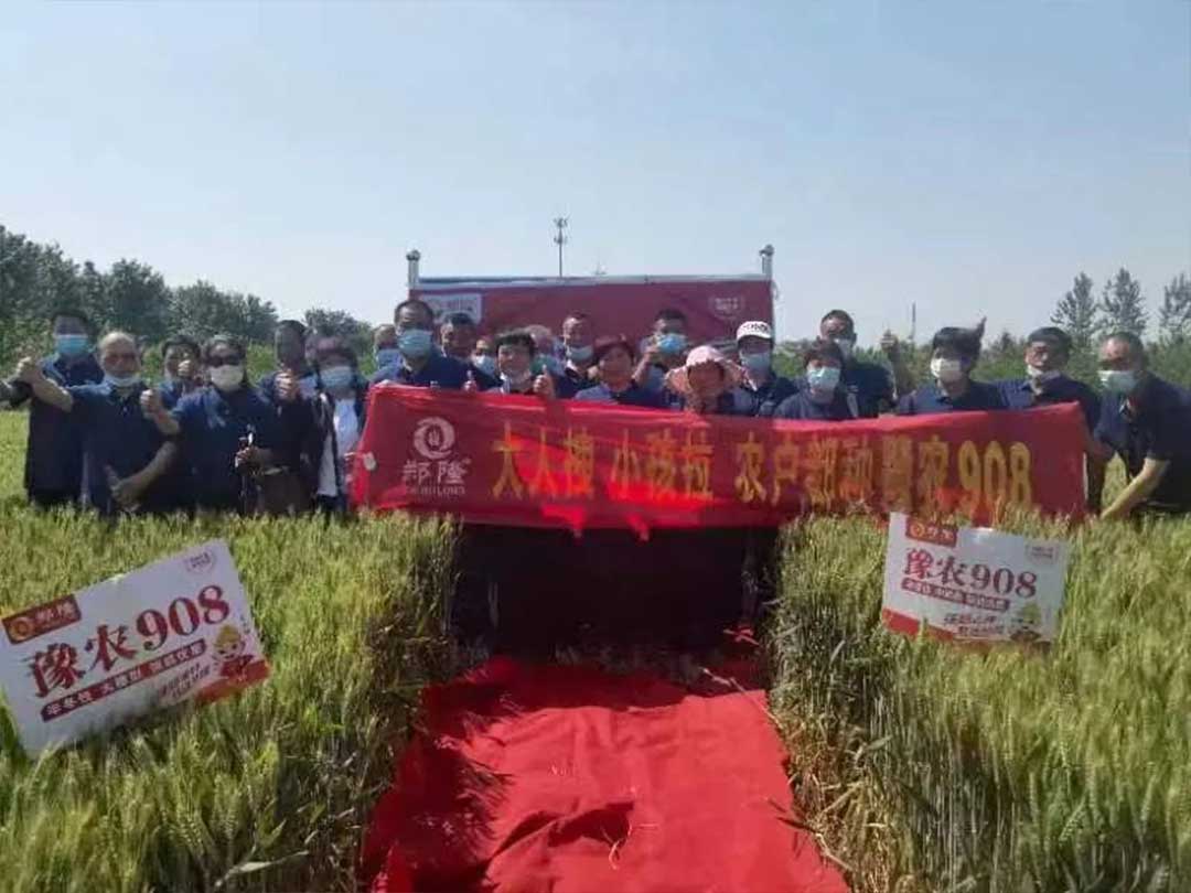 1652671460242938.jpg 06.jpg