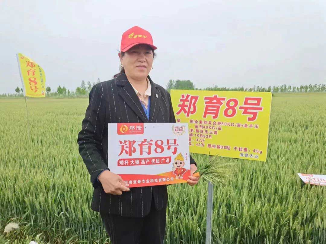 1652671501746189.jpg 08.jpg