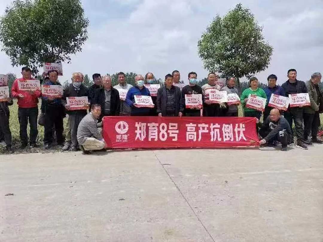 1652671550861730.jpg 10.jpg