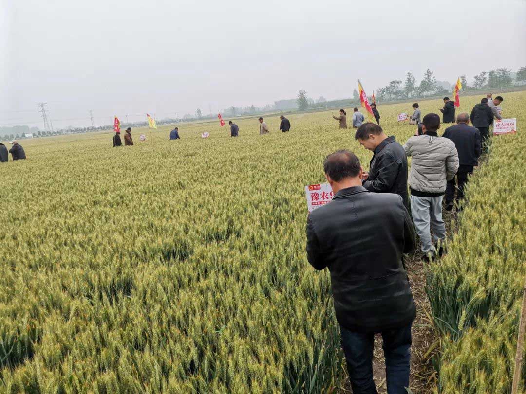 1652671567258447.jpg 11.jpg