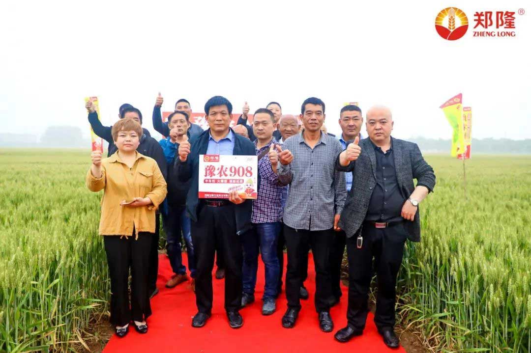 1652671612101942.jpg 14.jpg