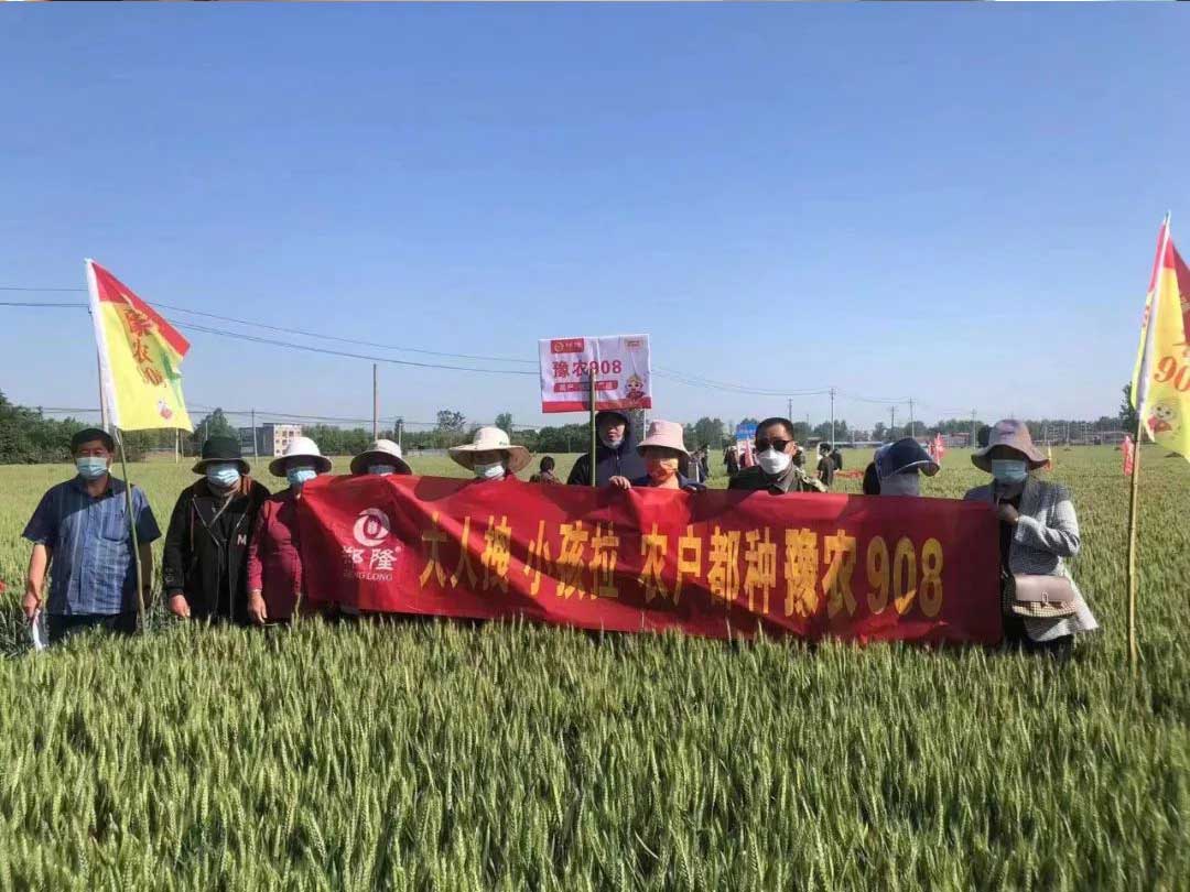 1652671618343861.jpg 15.jpg