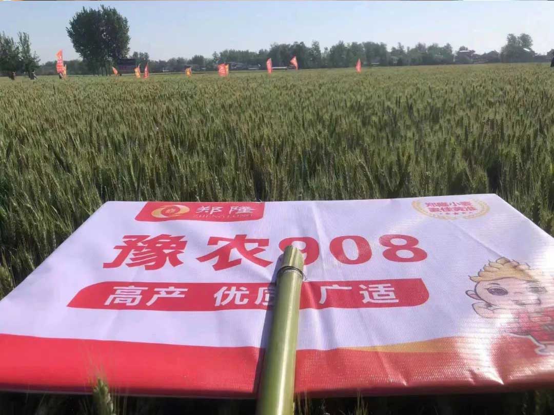 1652671621853420.jpg 16.jpg