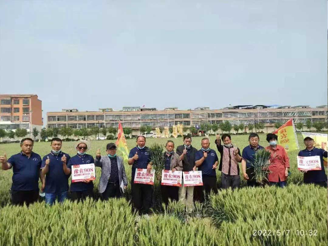 1652671625297811.jpg 17.jpg