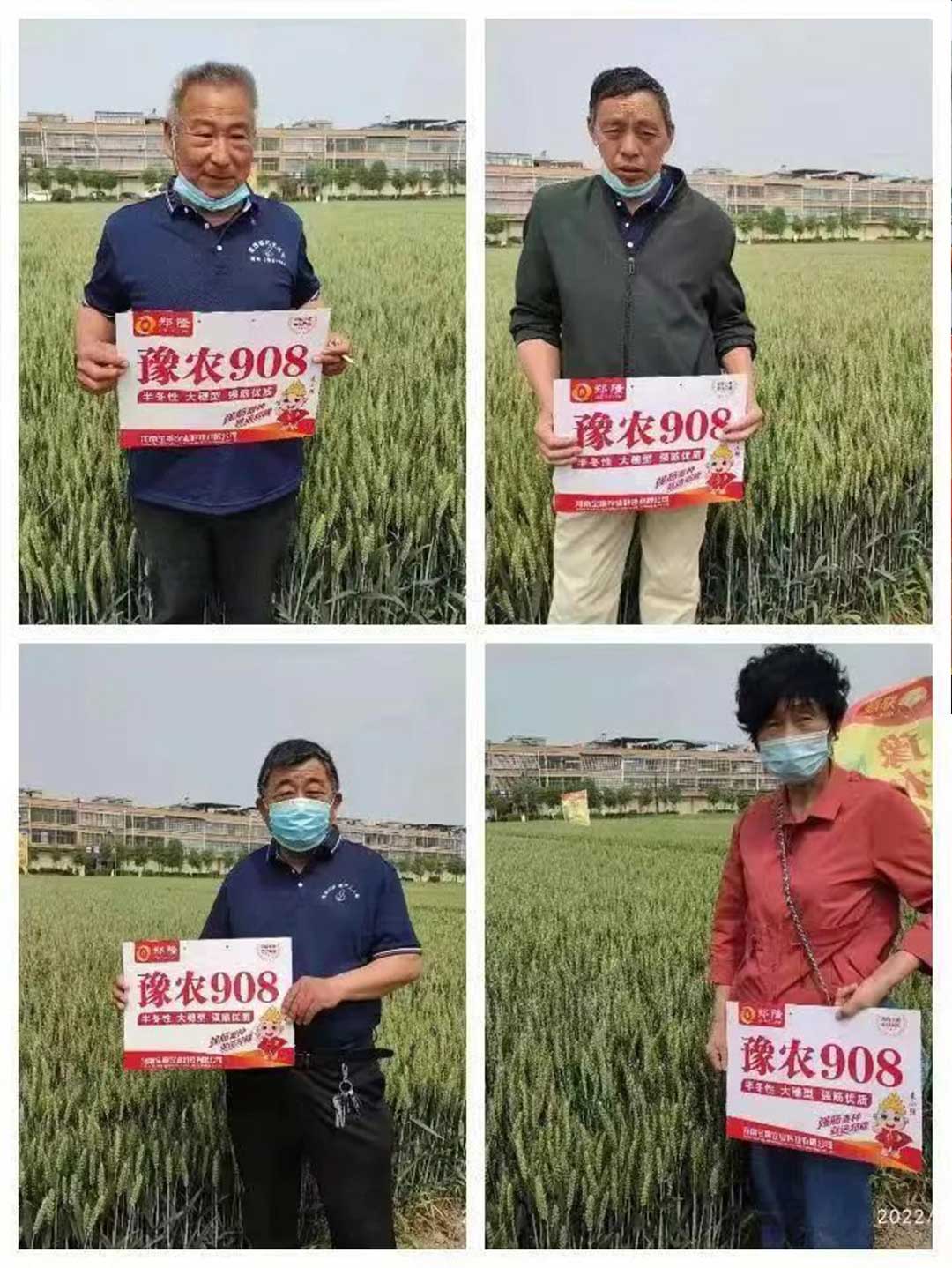 1652671637768338.jpg 20.jpg